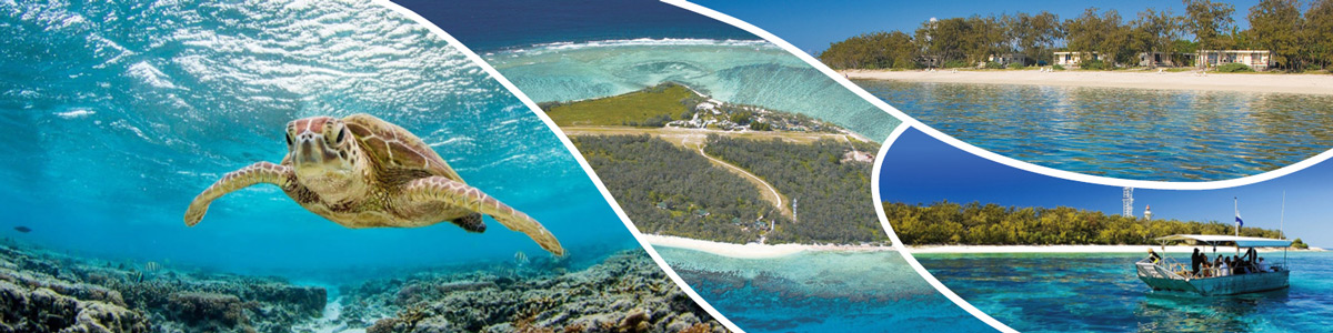 lady elliot island day trip packages